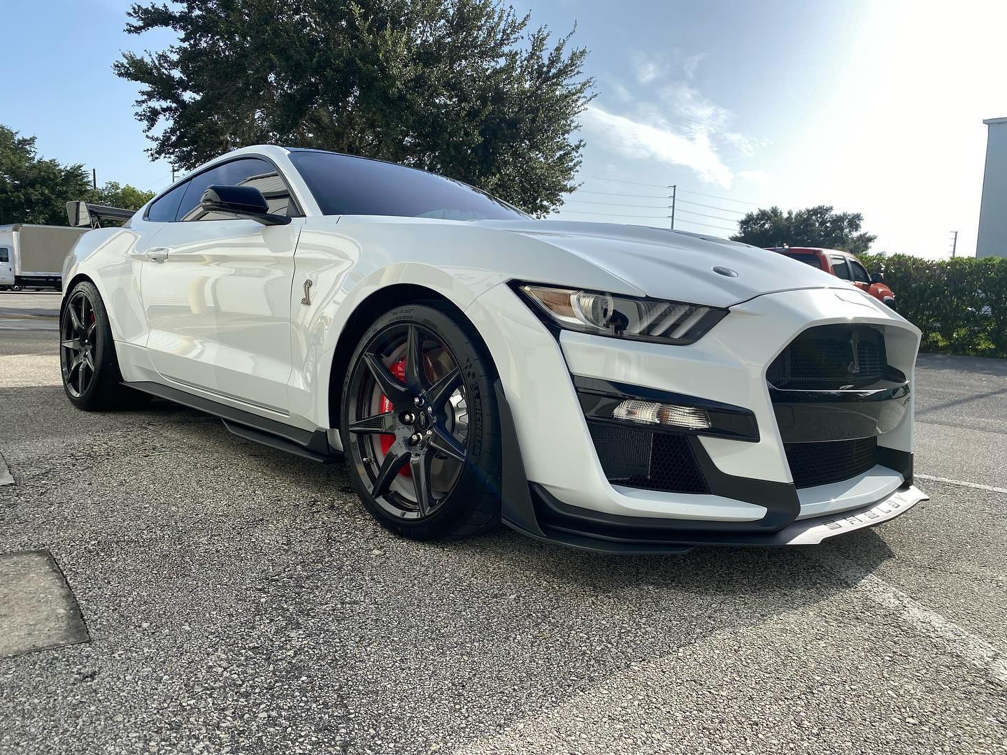 2022 White Mustang GT500 Track Pack Edition Car Detailing Orlando FL