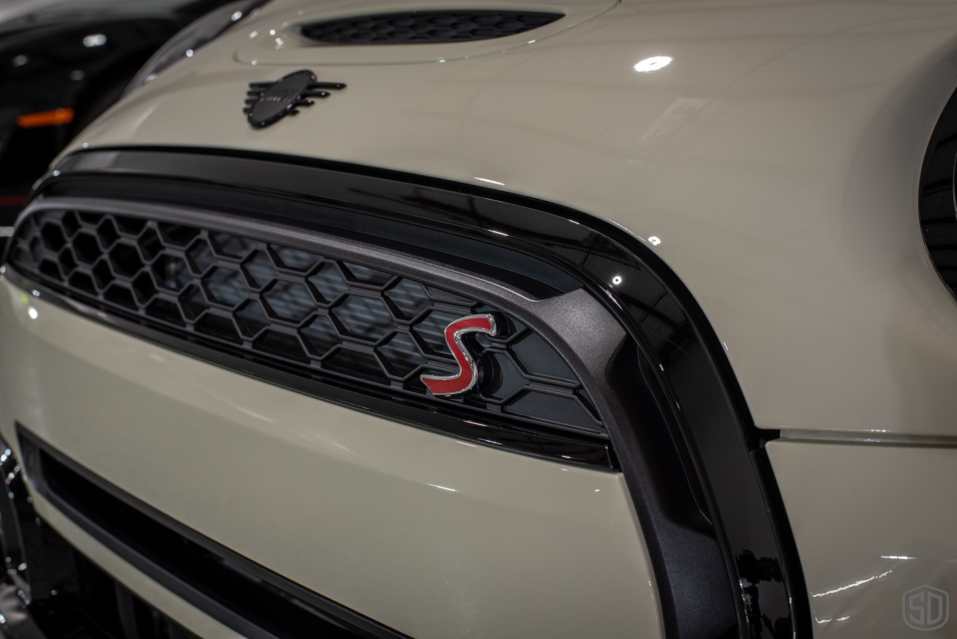 2023 MINI Cooper S Convertible New Car Protection Service Modesta exterior detail, paint correction, paint protection film, Modesta Leather Protection System Orlando, FL, USA