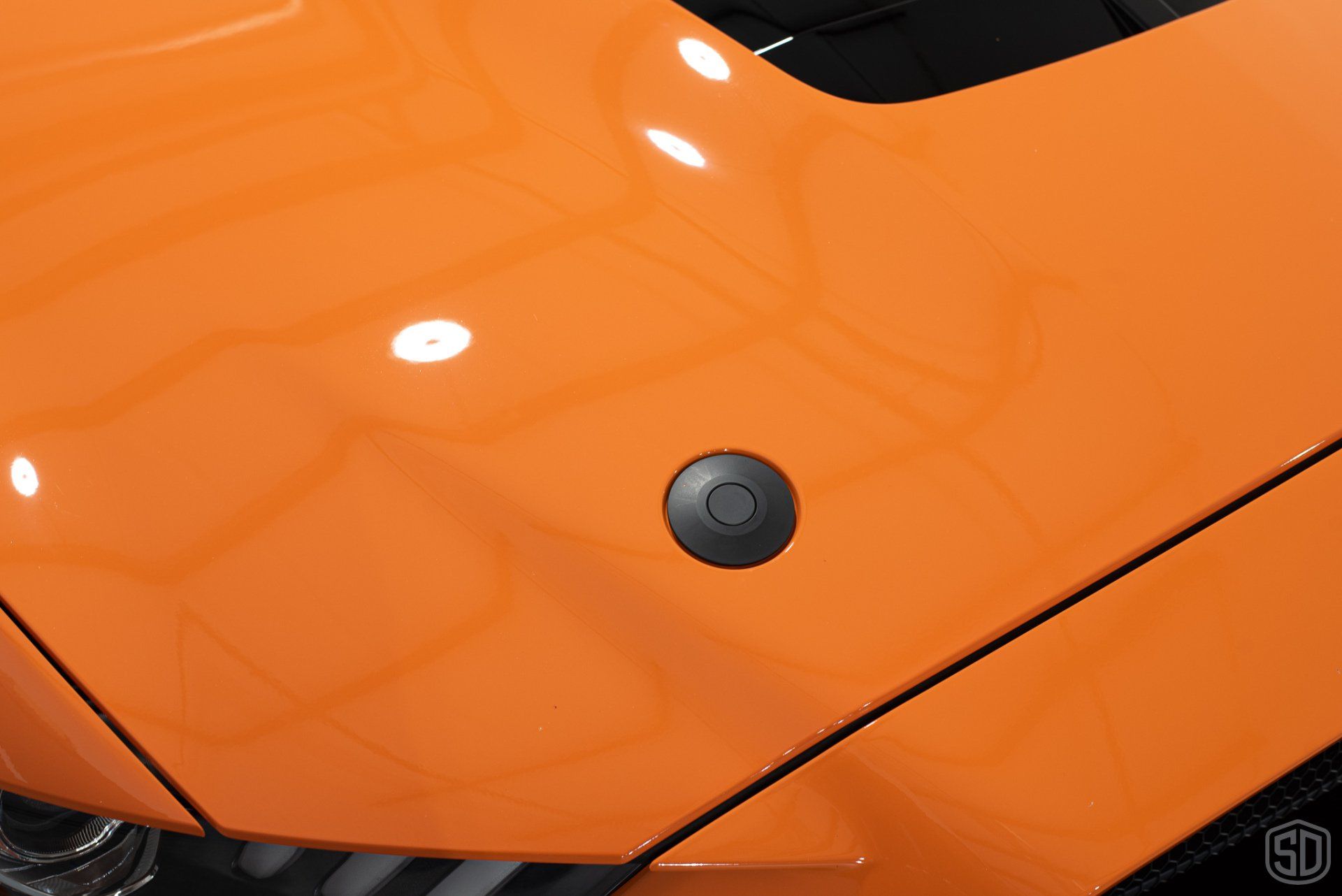 Ford Mustang GT500 Premium Detailing & Paint Correction Florida