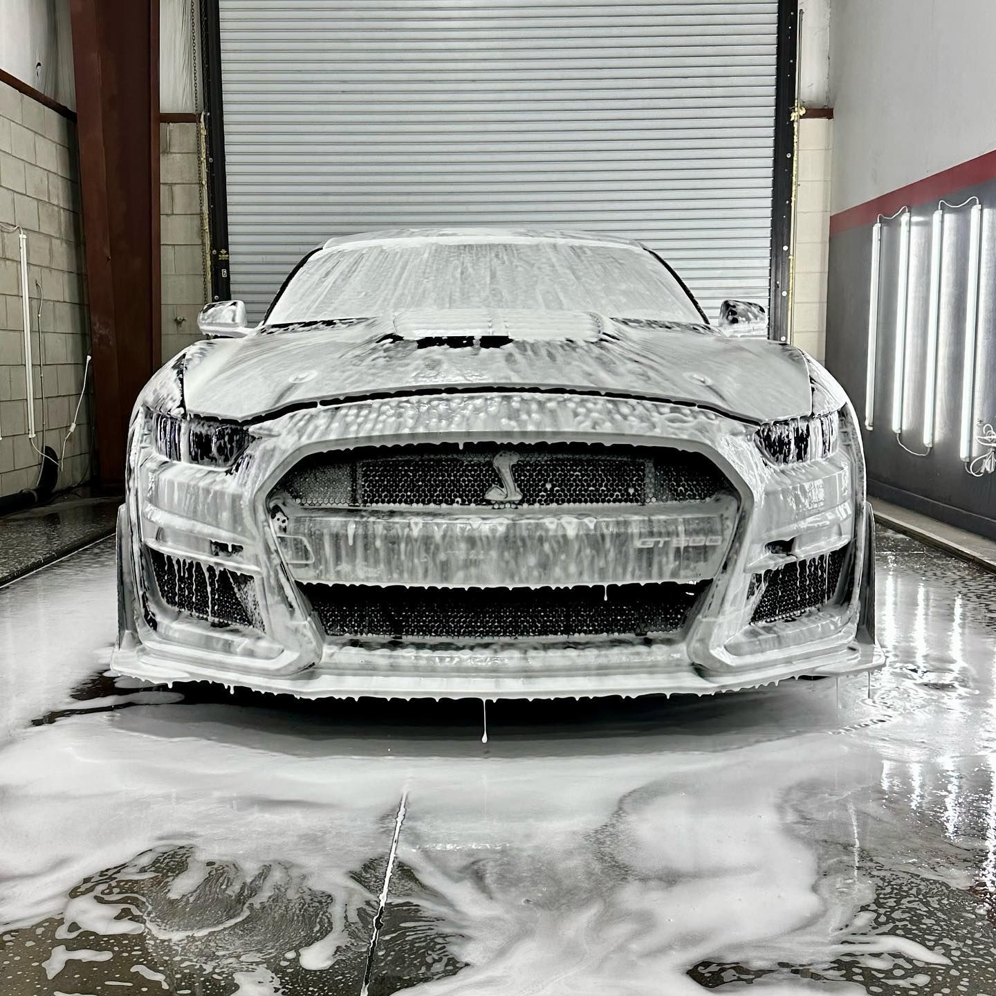 Ford Mustang Modesta BC05, Safety Coating inside and out and on the Calipers with BC06, An Xpel Invisible Wrap front end view Orlando