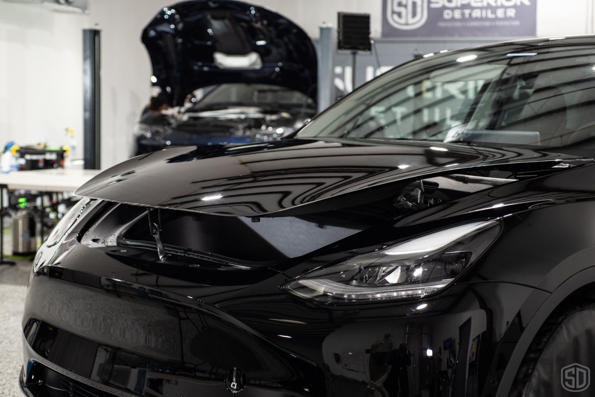 Tesla Model Y Signature Level 3 Heavy Paint Correction, Full Frontal PPF, modesta BC04 Nano Titanium Glass coating hood detail Orlando FL