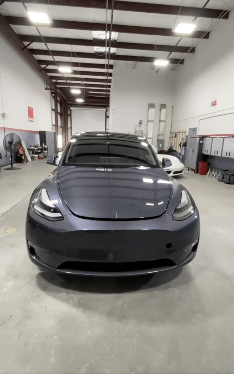 Tesla Model Y Xpel ppf and modesta protection Orlando FL