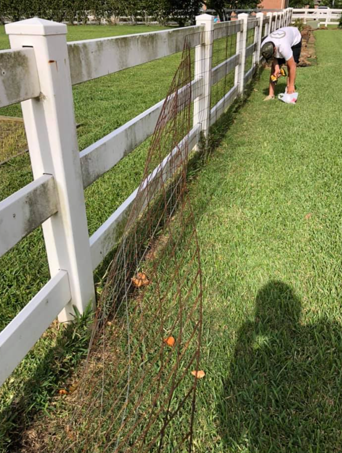 Person tending to a wire fence next to a white picket fence on a green lawn.
