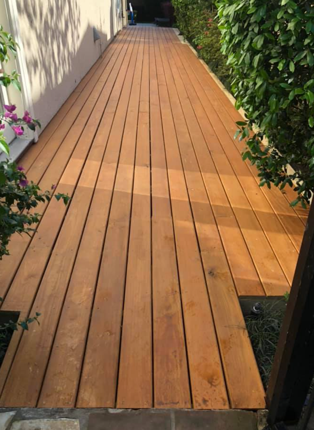 Wooden deck walkway between a building and bushes, warm tones, sunny outdoor setting.