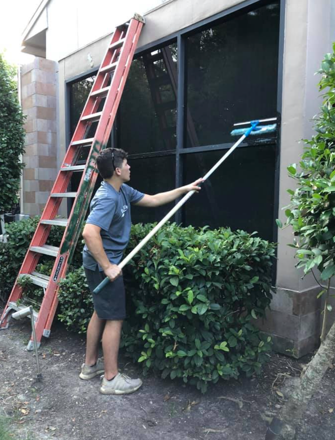 Man using a long squeegee to clean a window, standing on the ground near a ladder and bushes.