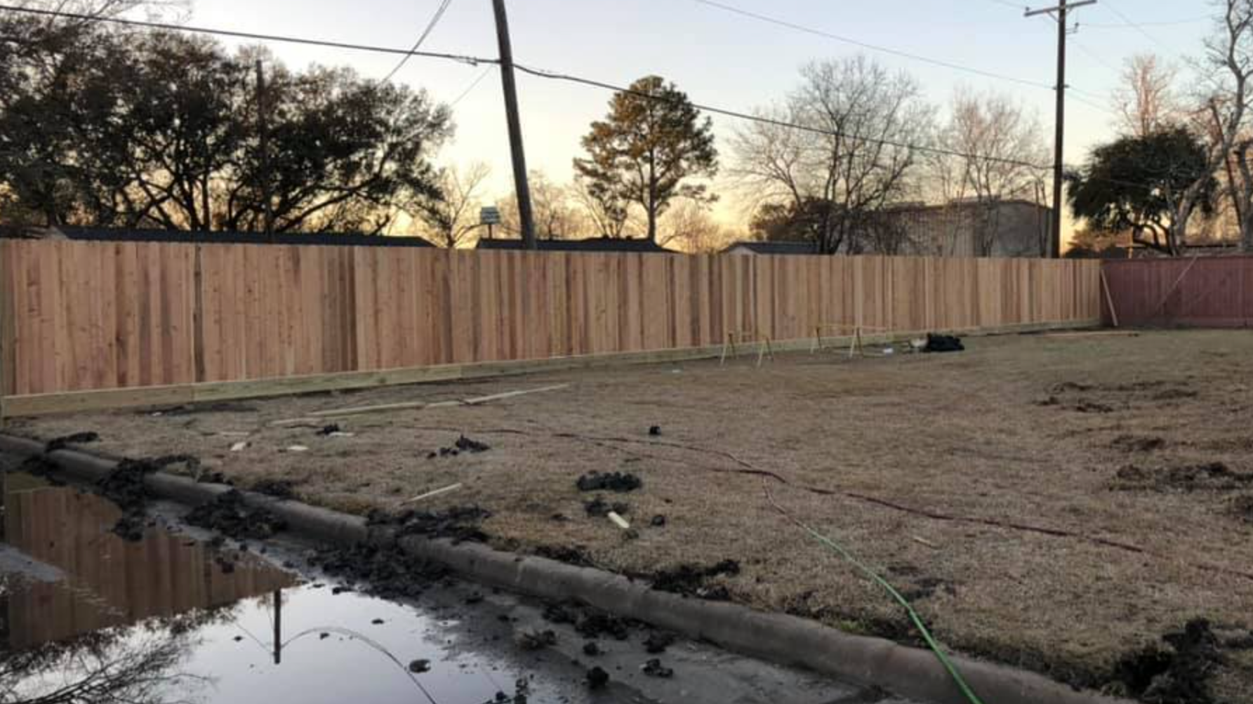A wooden fence surrounds a brown yard. Bare trees and a cloudy sky are in the background.