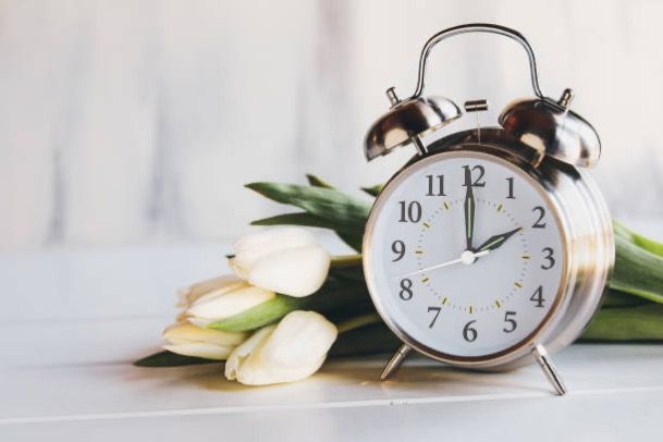 alarm clock with tulips