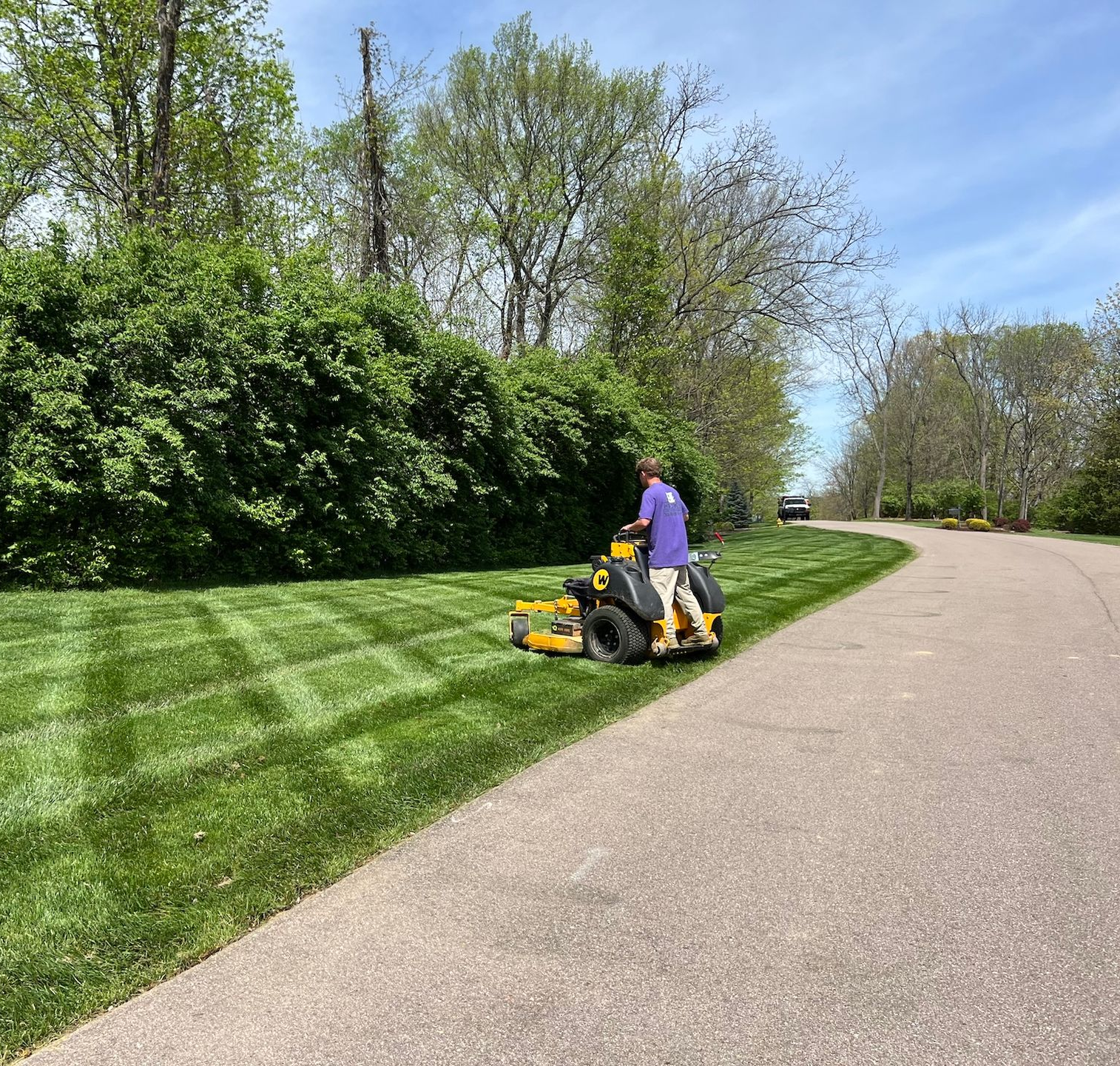 Person mowing grass on a riding lawnmower beside a paved road and a large hedge on a sunny day.