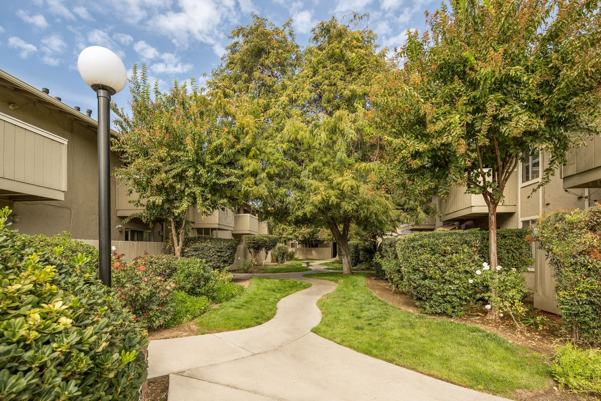 Pathway through a residential area with trees and bushes on either side.