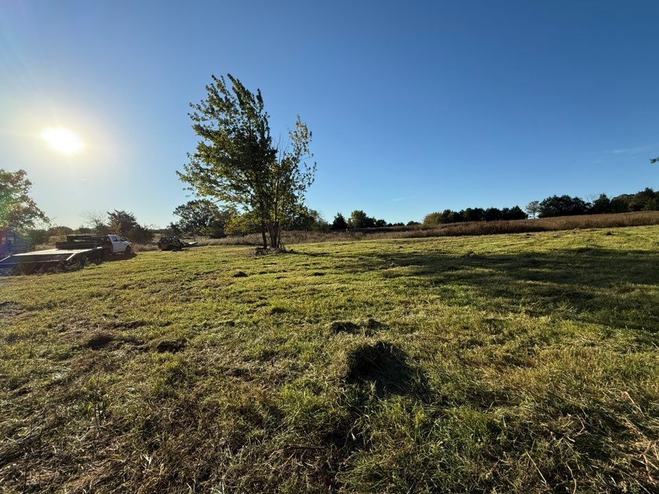 Grassy field with a lone tree under a bright sun and blue sky. A truck is parked to the left.