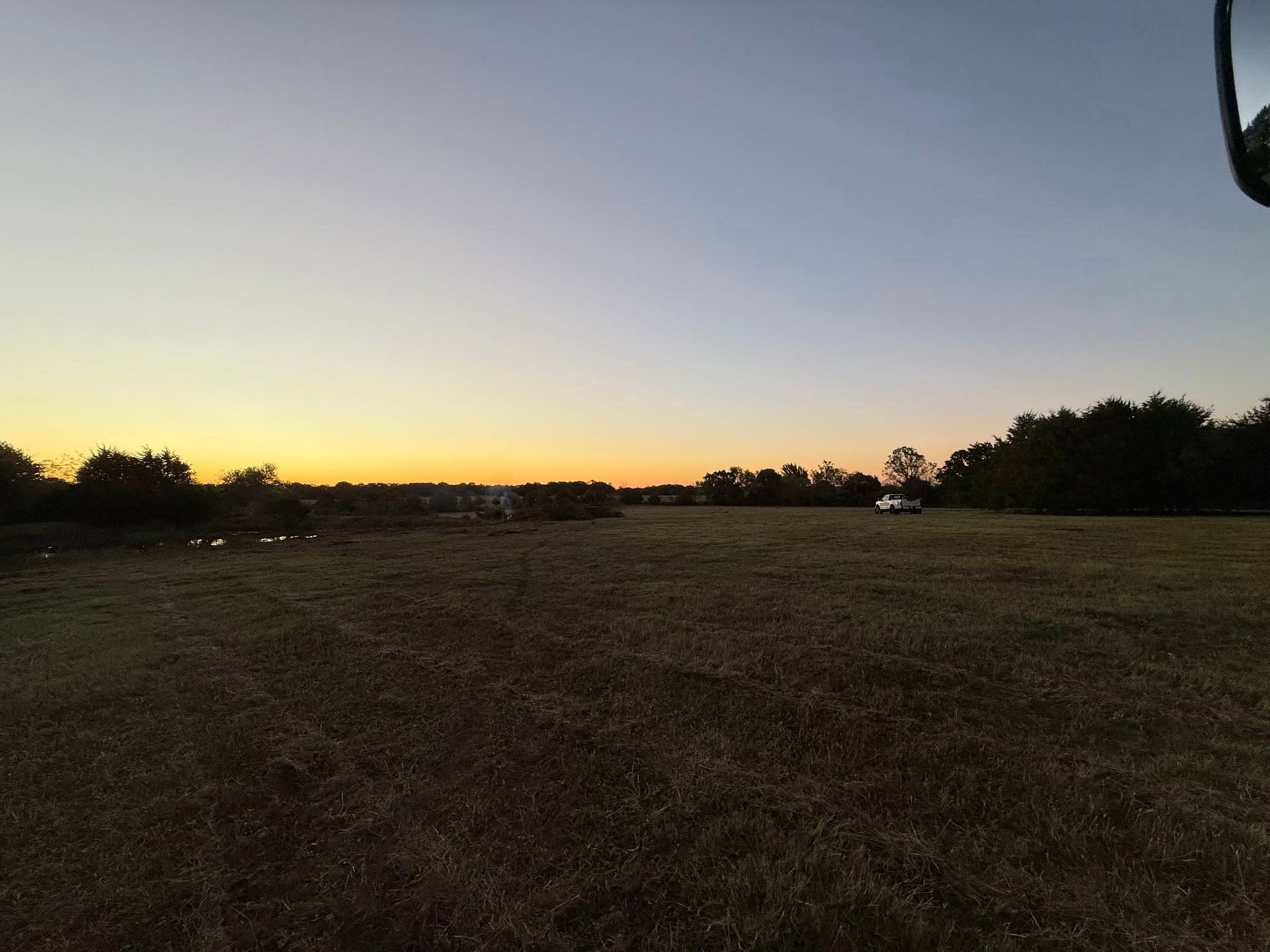 Field at dusk with orange and blue sky, trees in the background.