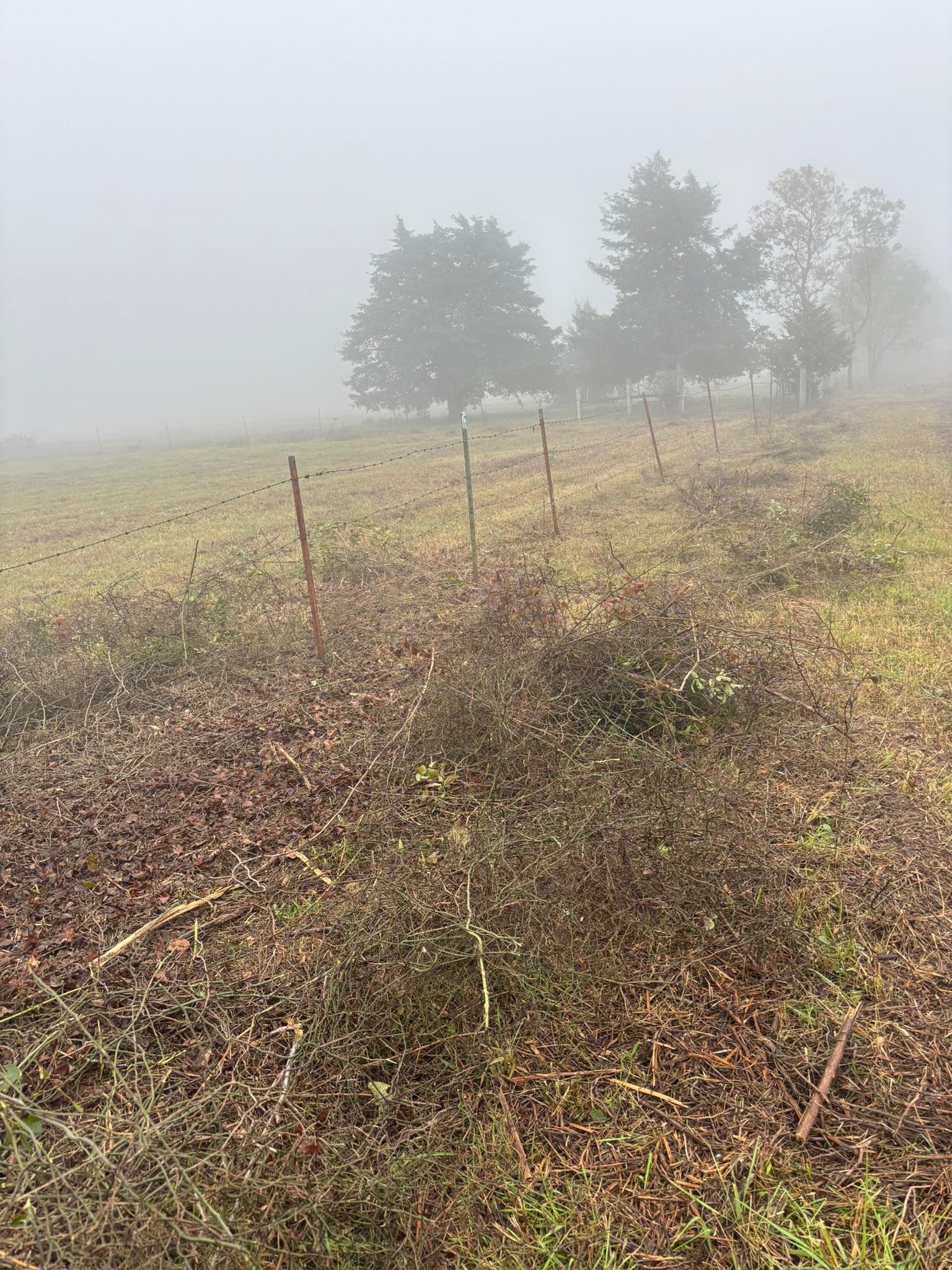 Foggy field with a fence; trees in the distance. Overcast sky.