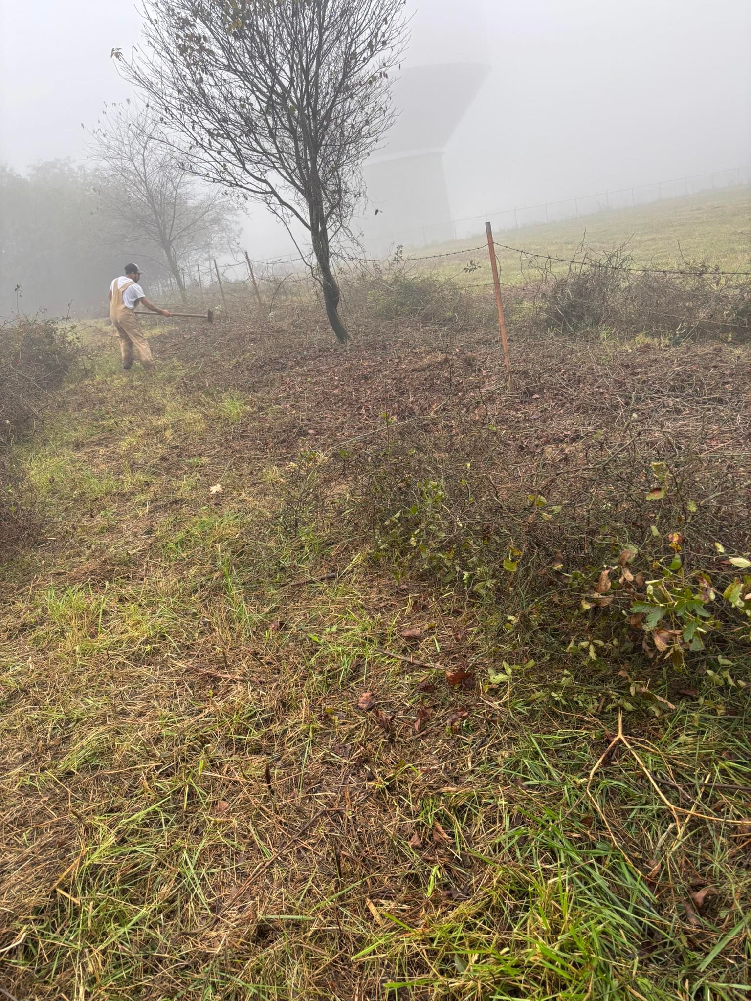 Person raking leaves on a grassy hillside on a foggy day.