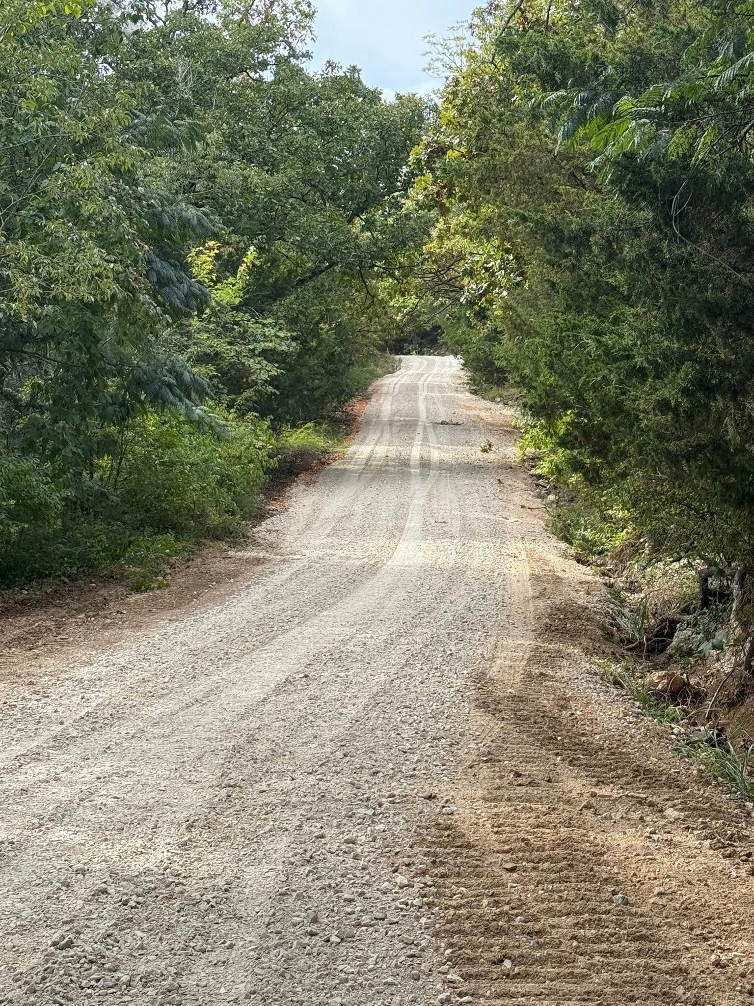 Gravel road through a forest with trees on both sides, leading toward the light.