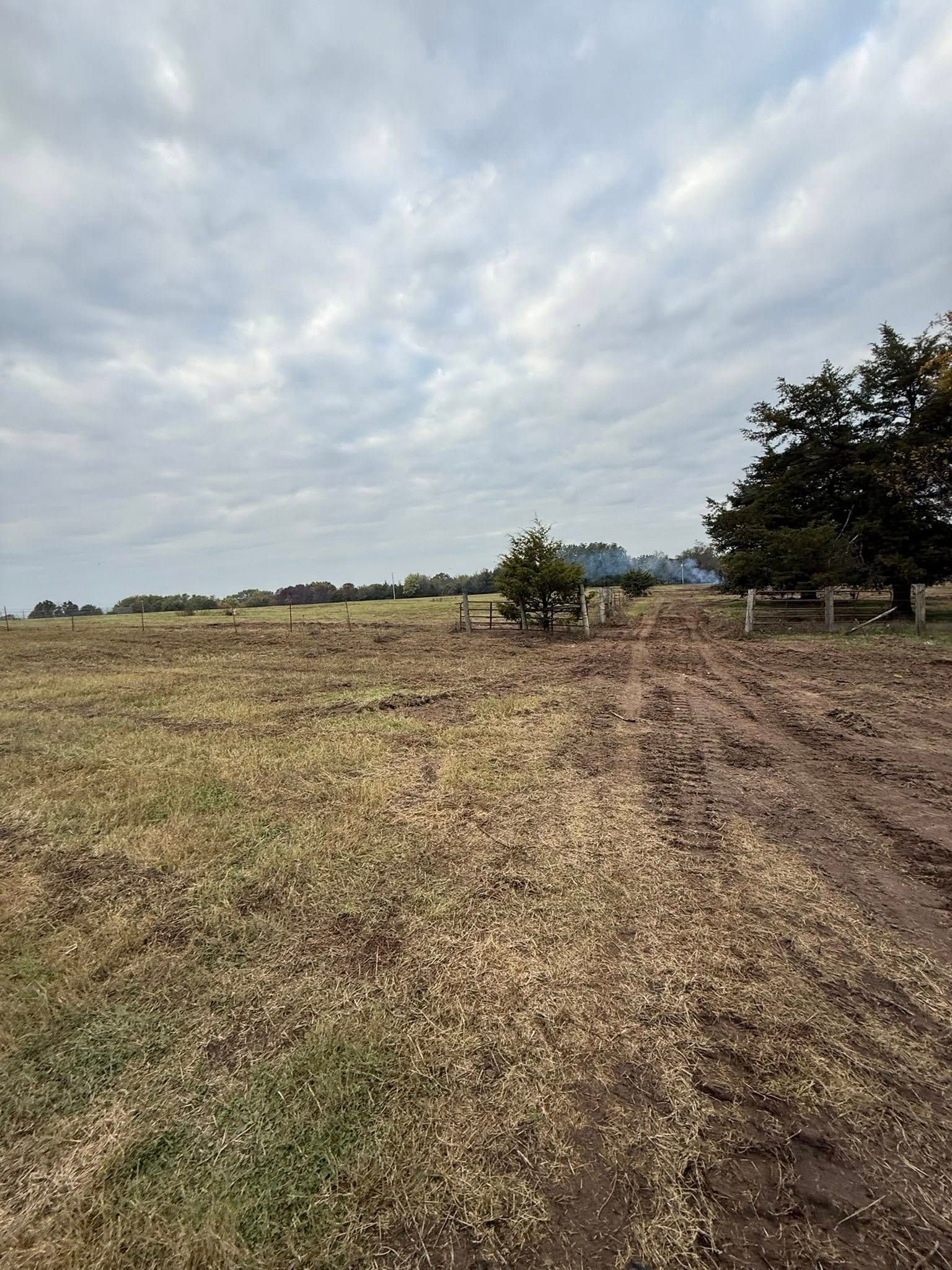 Grassy field under cloudy sky. Dirt track leads to a fence and trees.