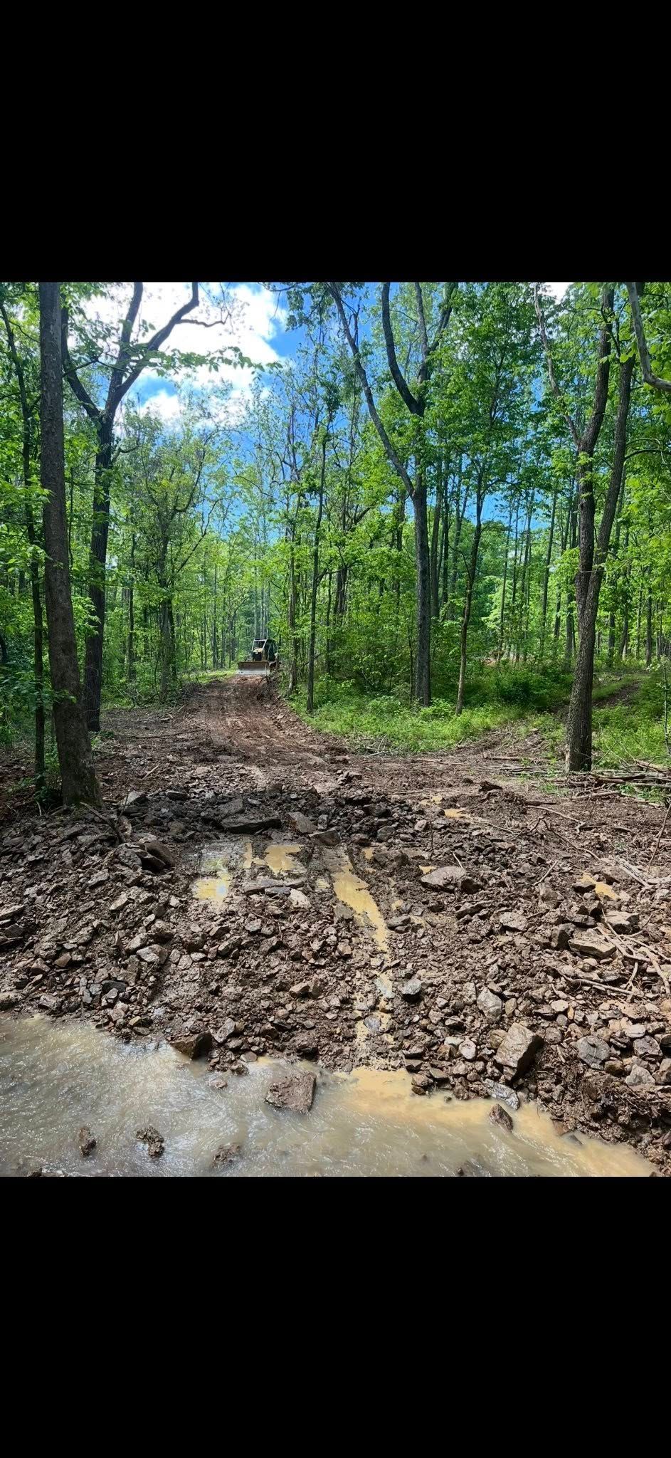 Muddy forest path lined by trees, leading to a bright blue sky.