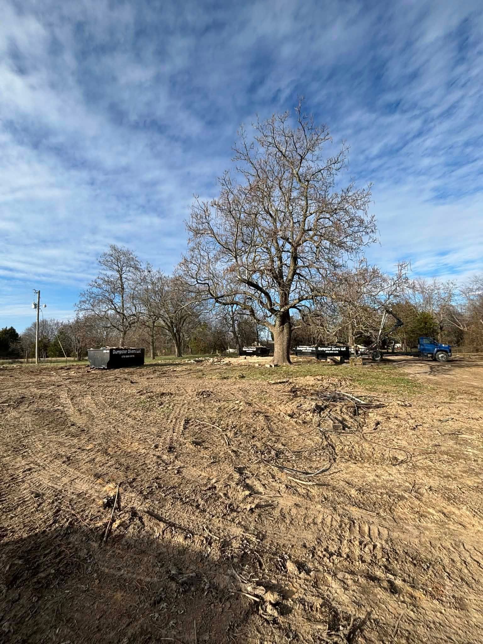 Brown field with a tree in the center under a partly cloudy blue sky.