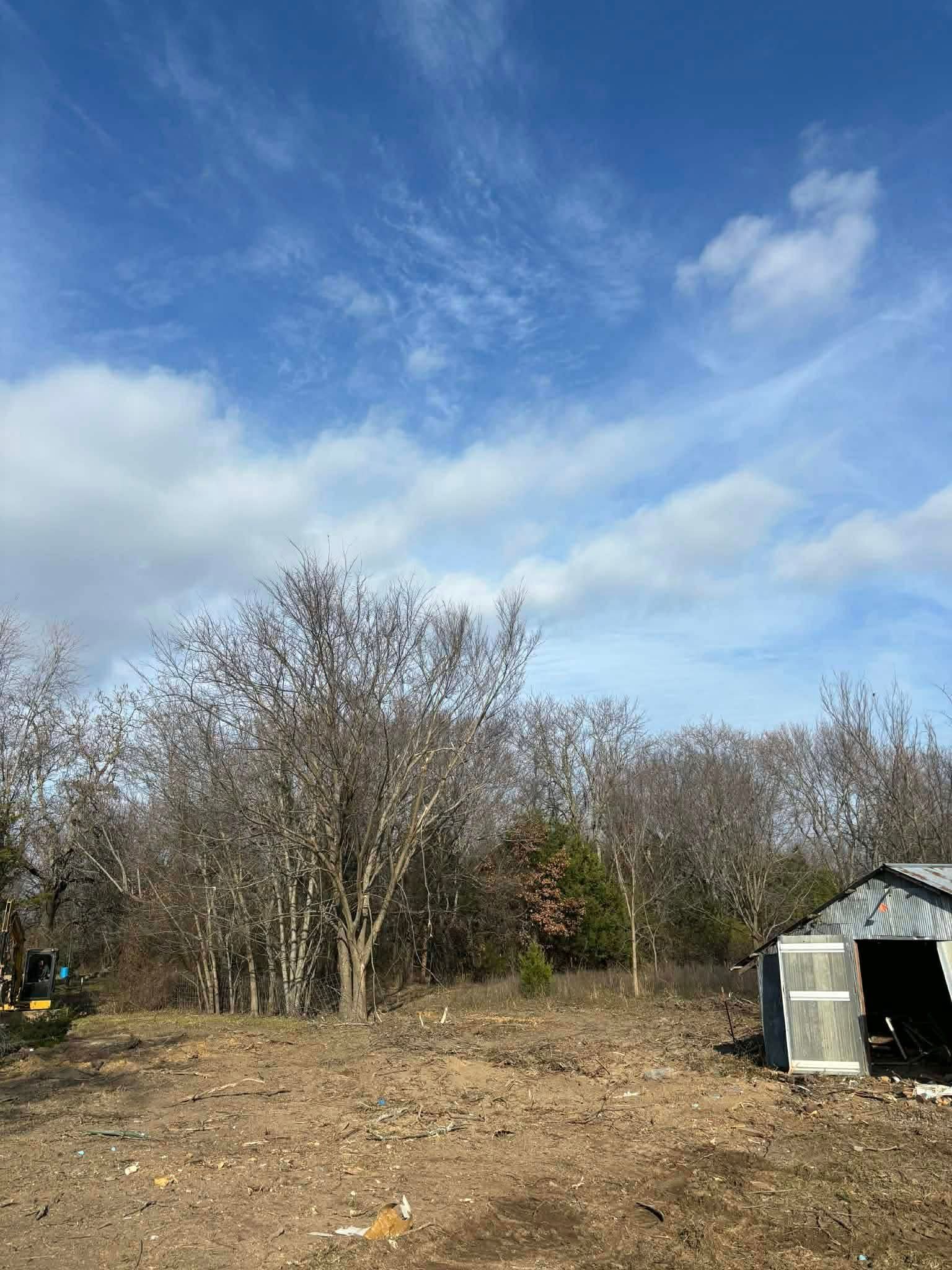 Bare trees and a small shed under a partly cloudy sky.