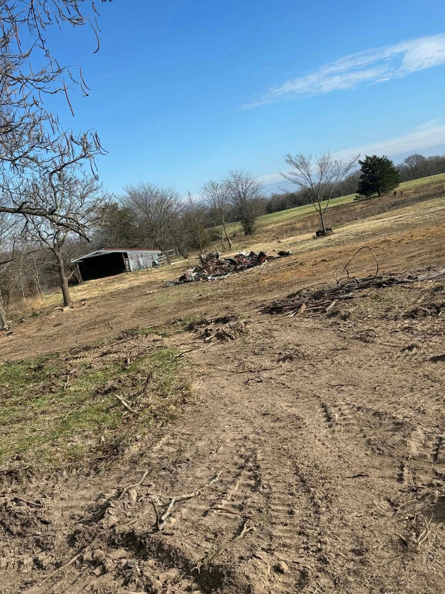 A dirt hillside with a small shelter and bare trees under a blue sky.