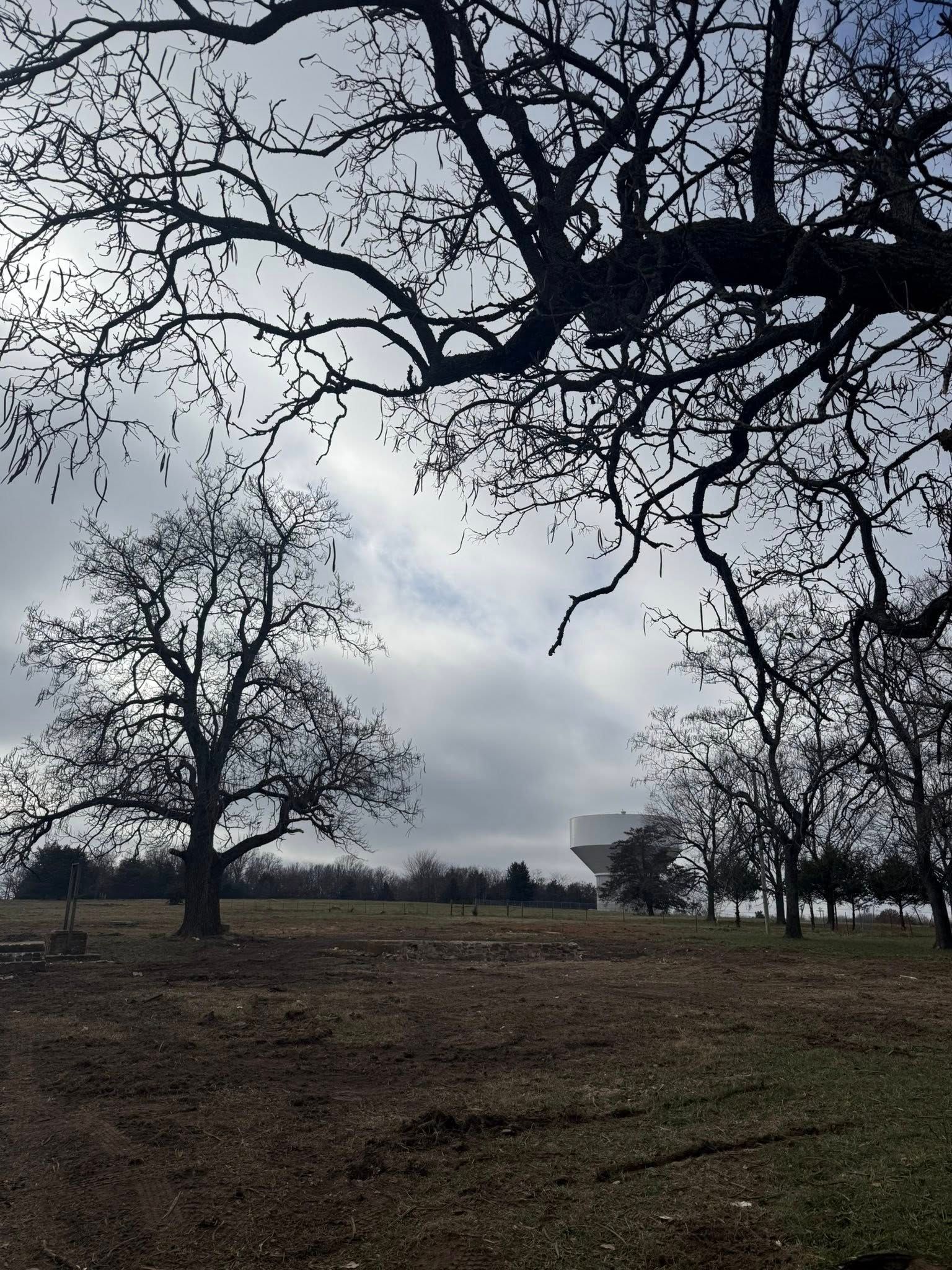 Bare trees frame a cloudy sky over a field, with a large, angular structure visible in the distance.
