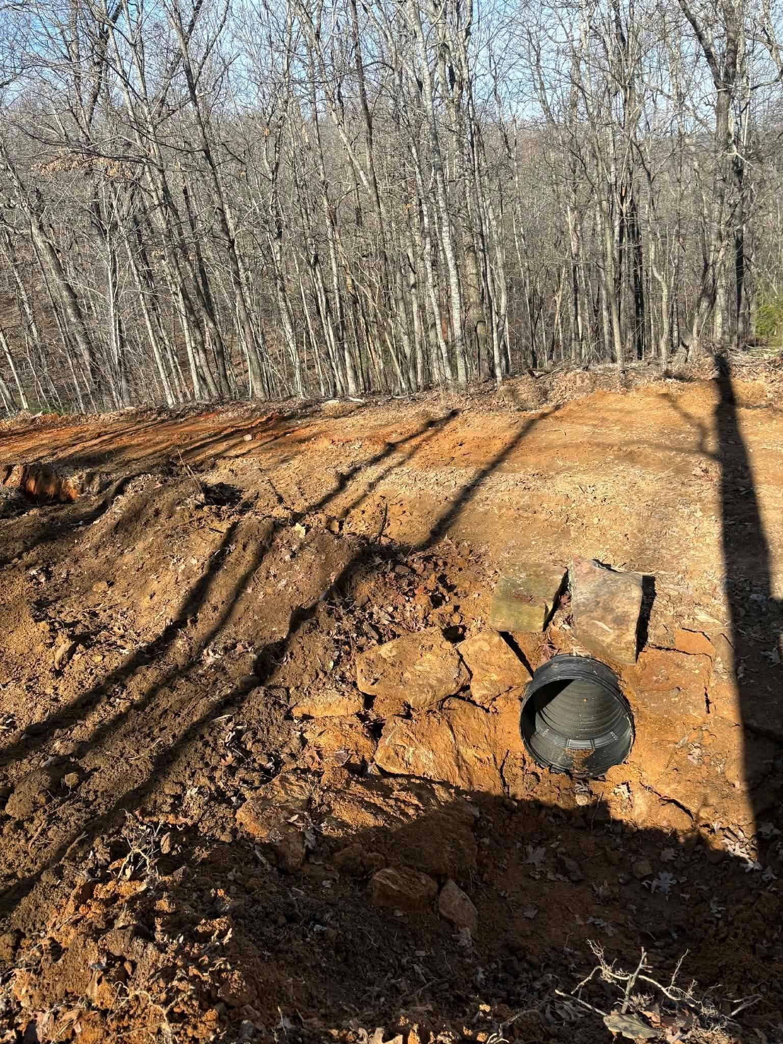 Excavated earth with a dark pipe, woodland backdrop, and long shadows.