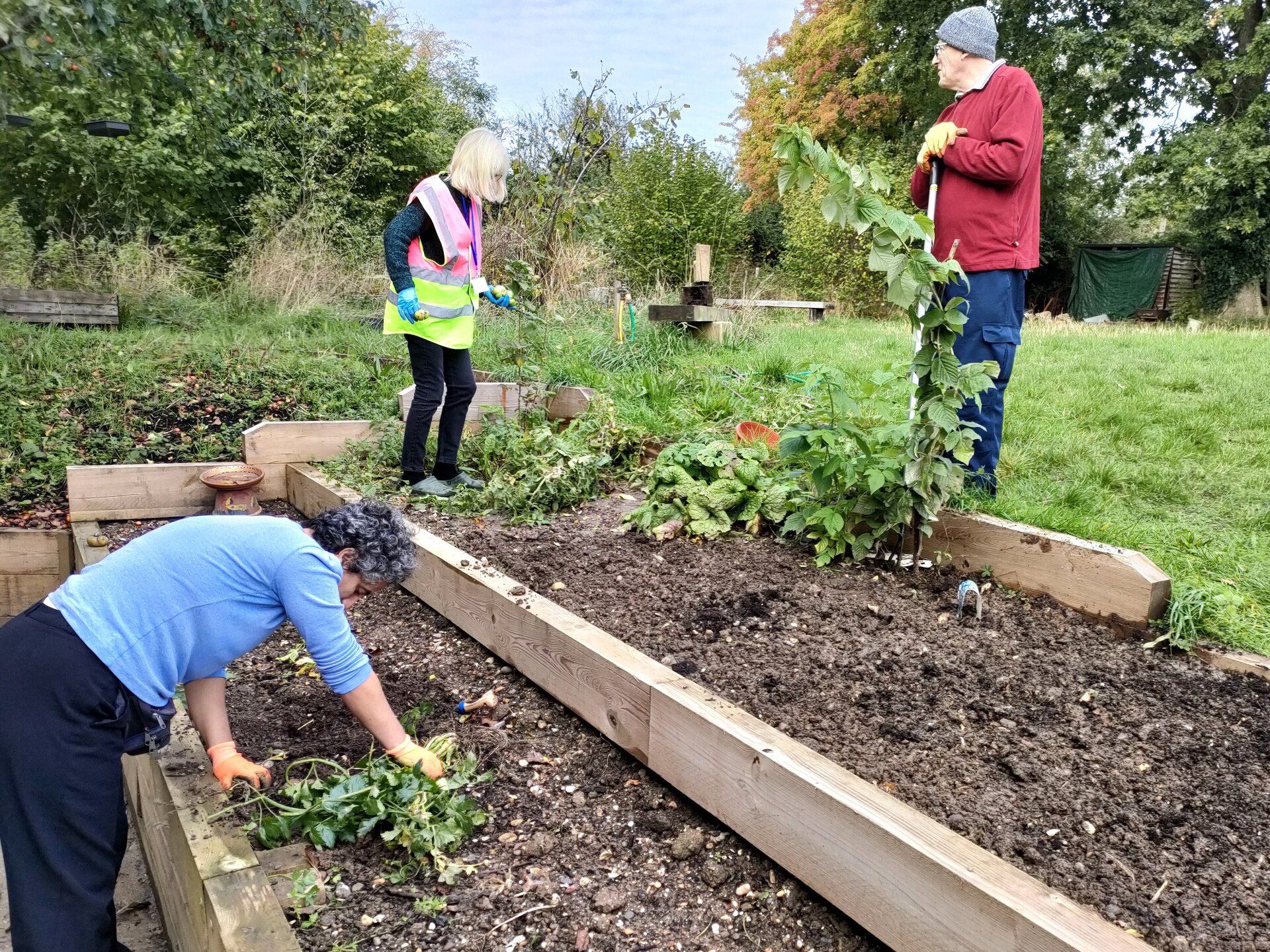 two members and a volunteer work gardening at the tiered beds
