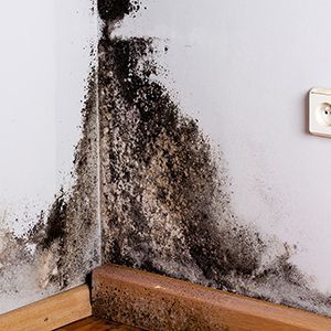 foundation inspection houston tx