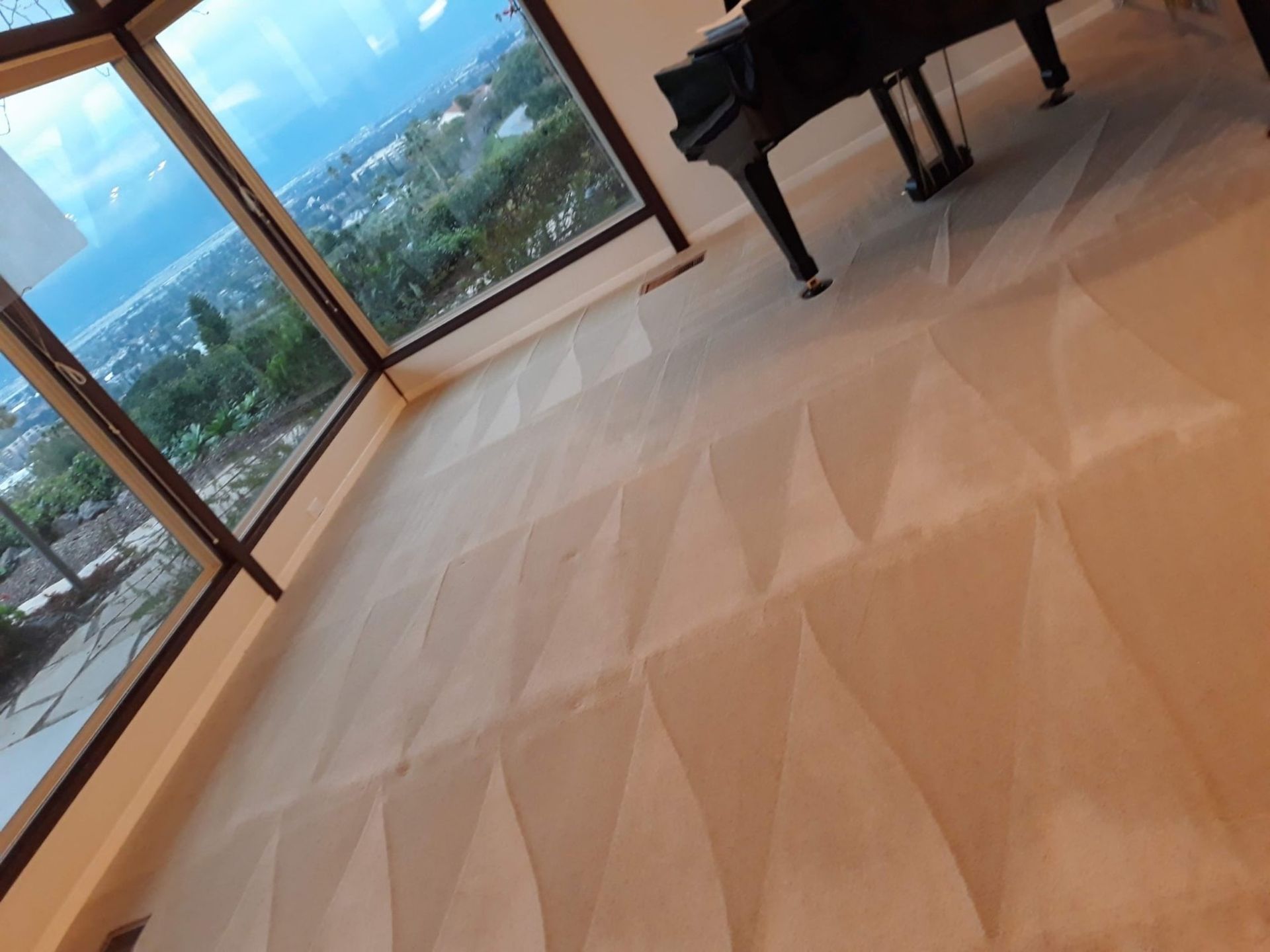 Carpet Cleaning Service