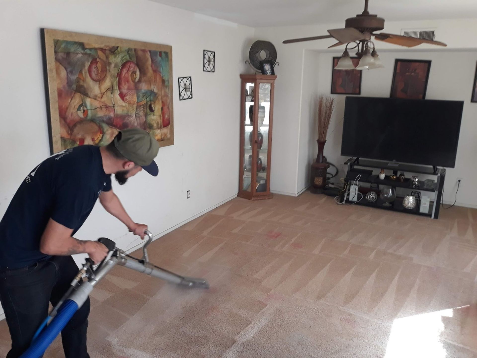Carpet Cleaning Process
