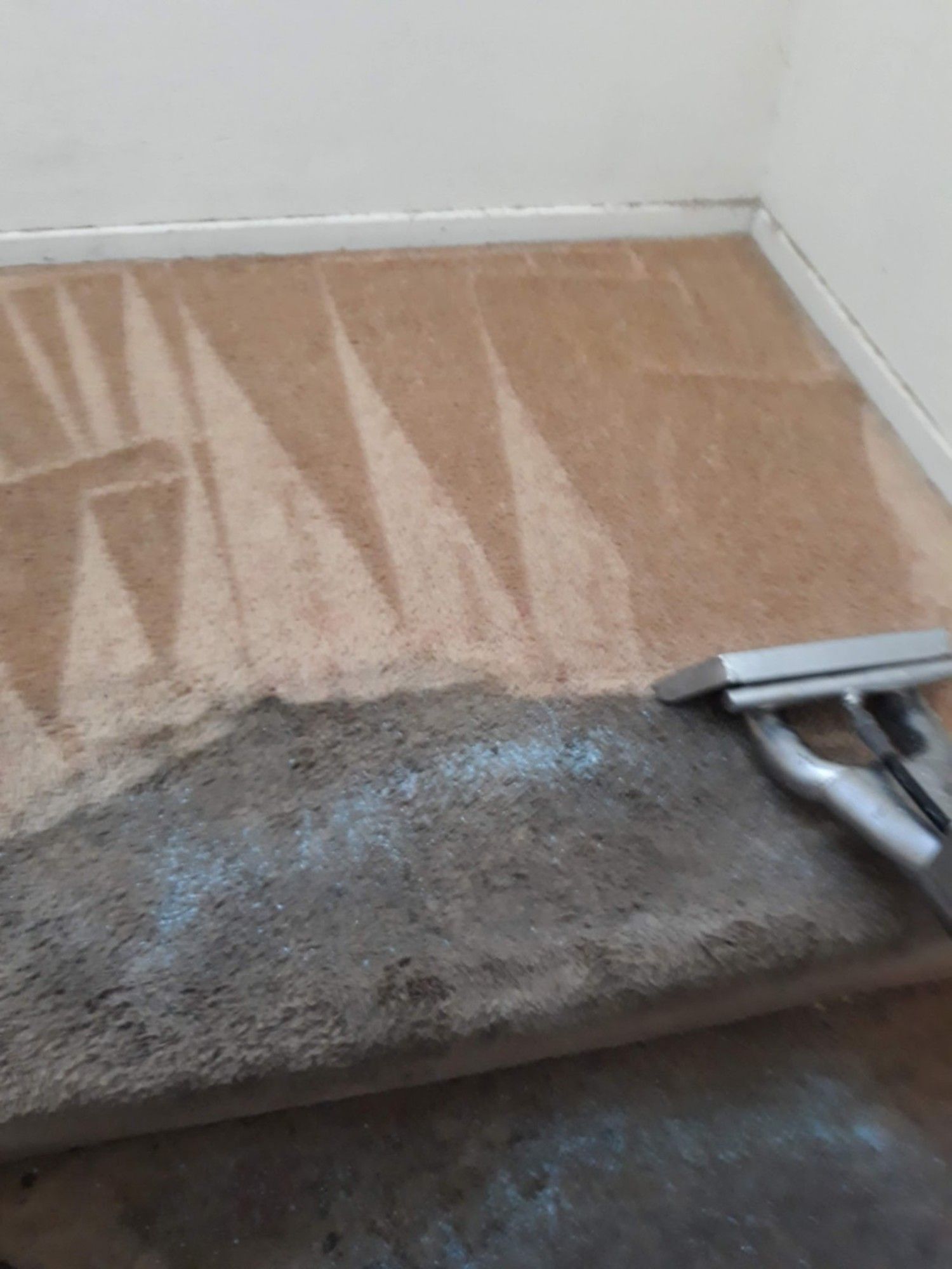 Carpet Cleaning Service