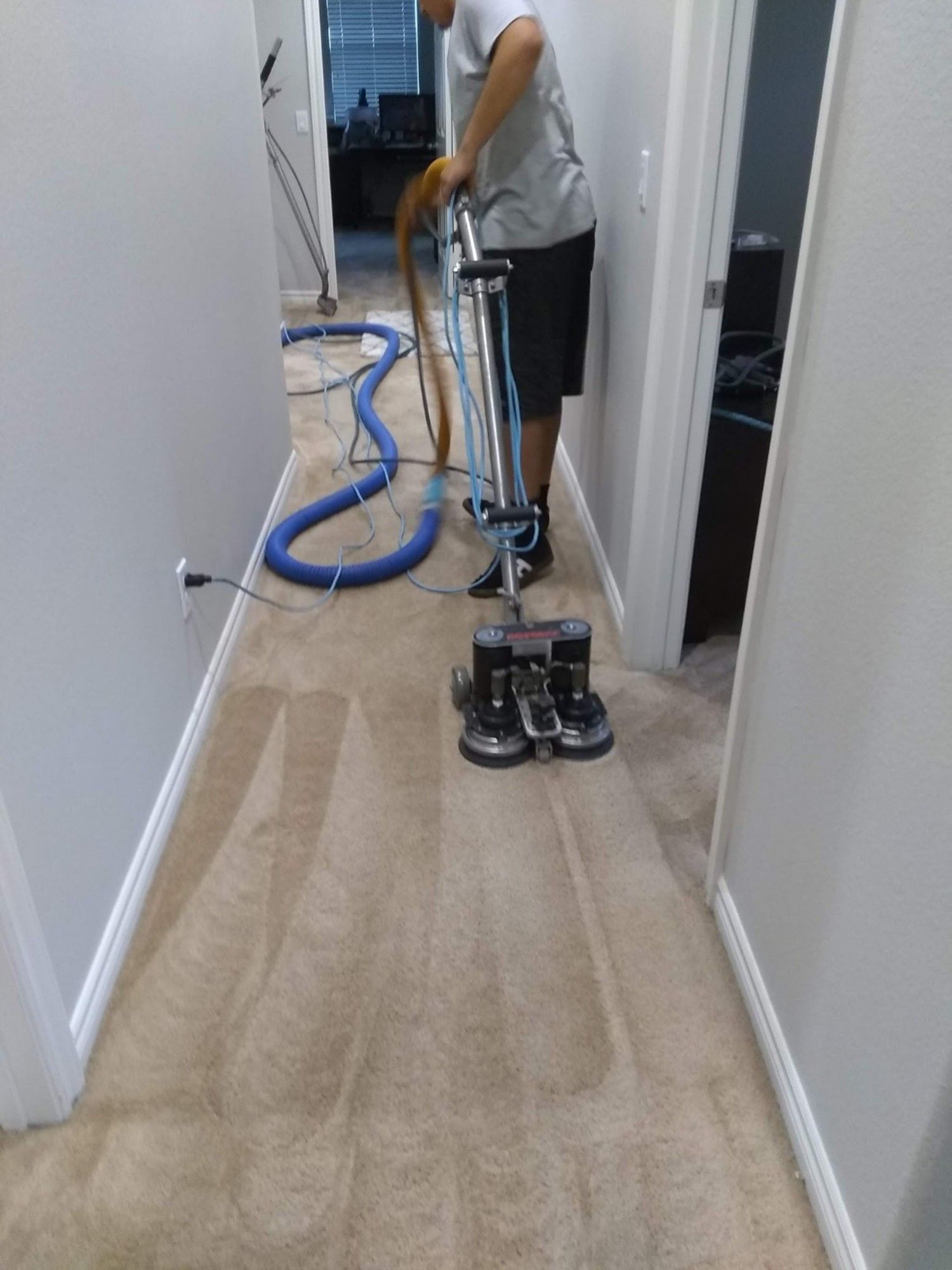 Carpet Cleaning Service