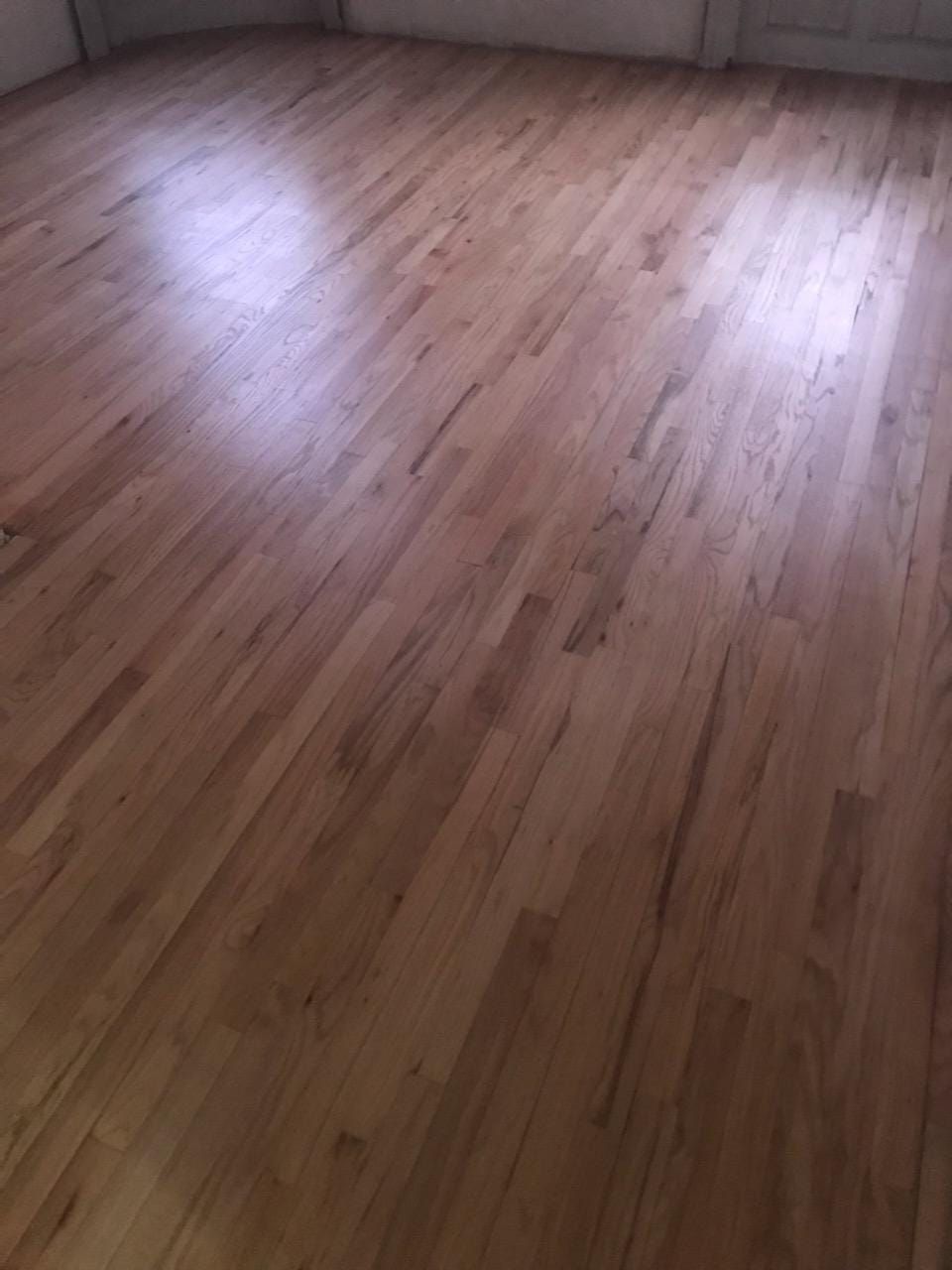 Wooden hardwood floor, light brown with natural grain patterns, reflecting light.