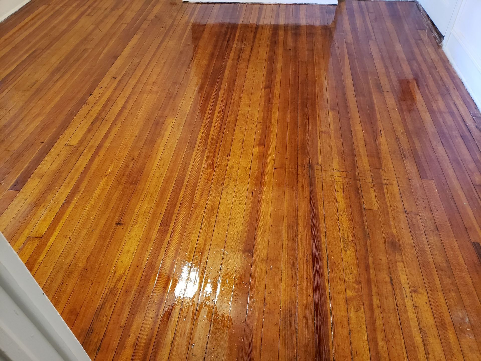 Reflective wooden hardwood floor. Brown and golden hues. Wet appearance.