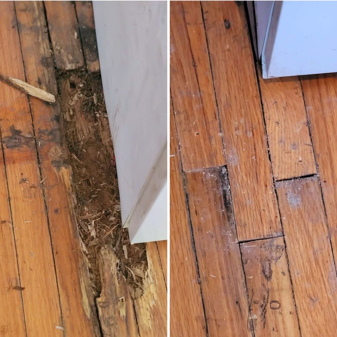 Damaged hardwood floor with visible rot, next to a white wall. The right side shows small repairs.