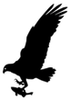 Fishhawk Marine Logo - Hawk with fish in it's claw