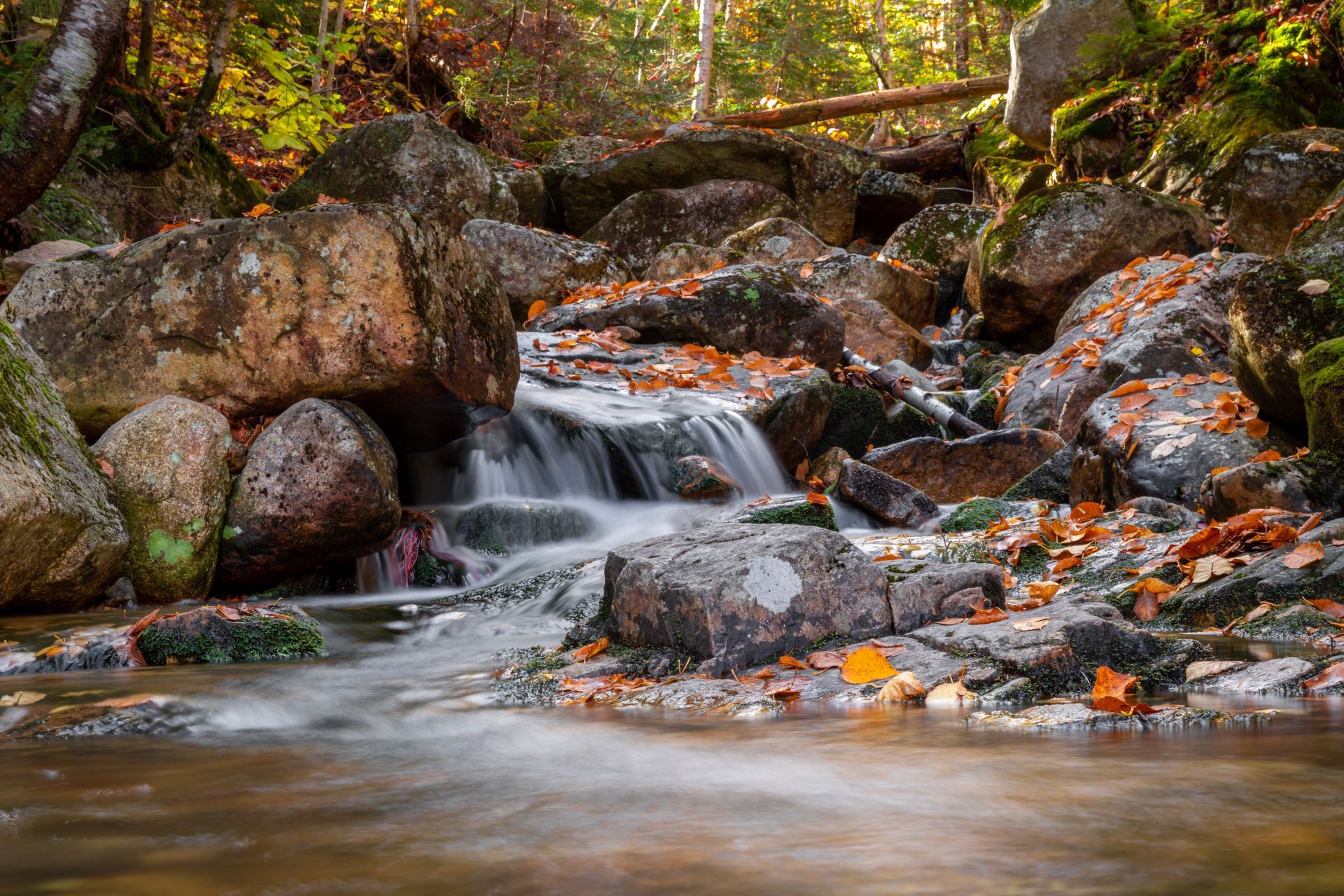 A small waterfall in the middle of a forest surrounded by rocks and leaves.