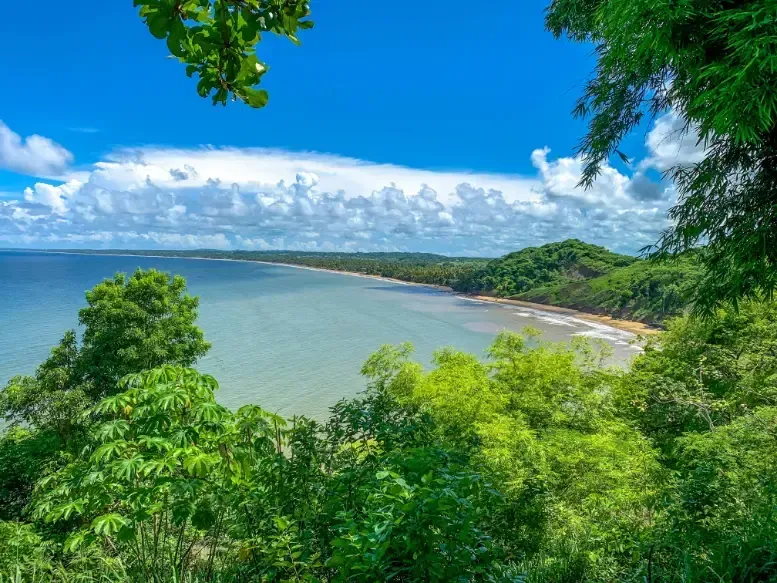 a view of a beach in Tobago  surrounded by trees and a body of water .