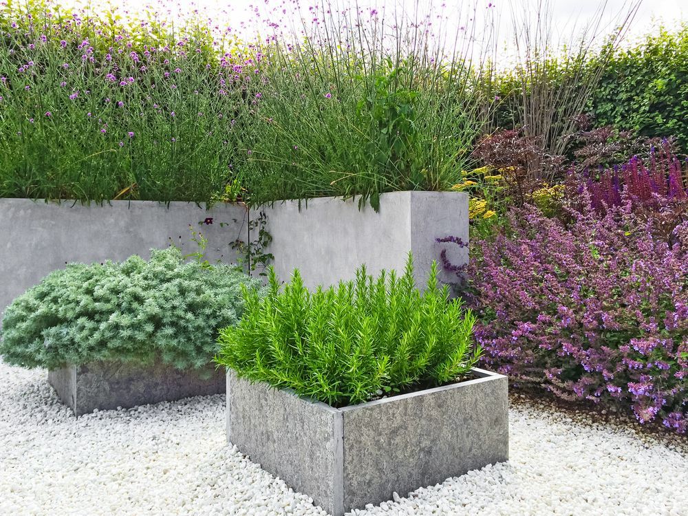 A garden filled with lots of plants and flowers.