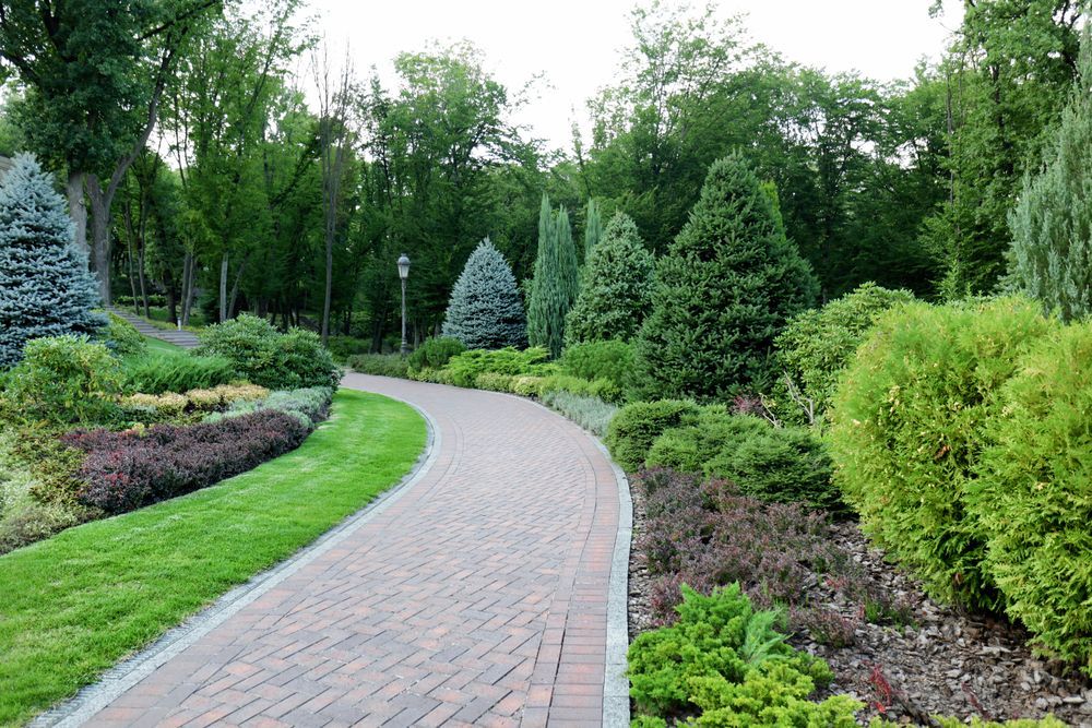 A brick walkway in a park surrounded by trees and bushes.
