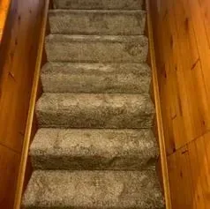 Carpeted staircase with brown wood paneling on the side walls.
