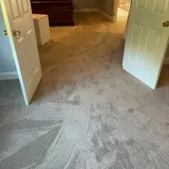 Beige carpet stained, two white doors open, dark furniture in the background.