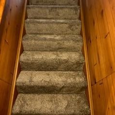Carpeted staircase with wooden walls.