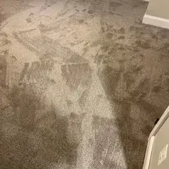Light brown carpet with visible cleaning patterns.