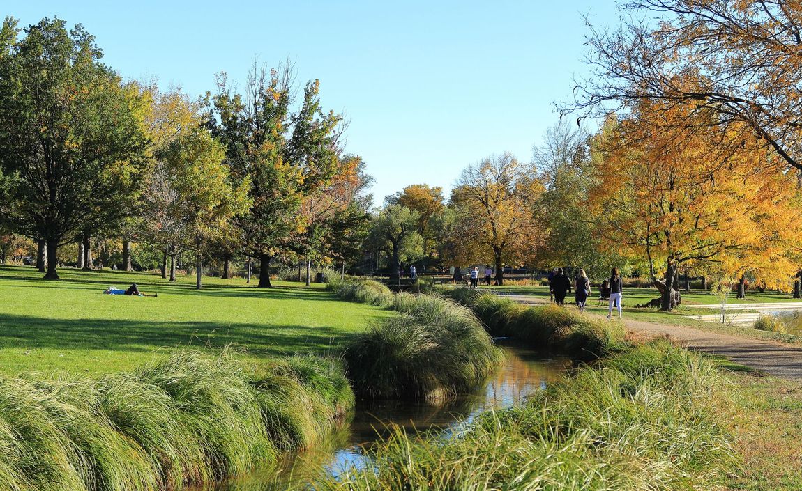 A river runs through a park surrounded by trees on a sunny day.