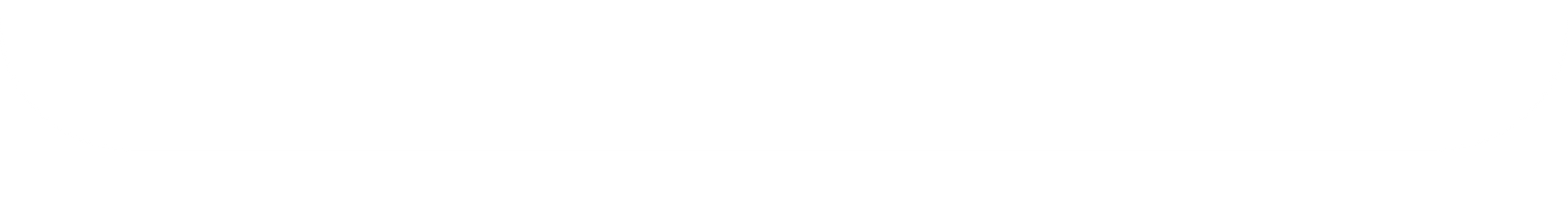 White Divider