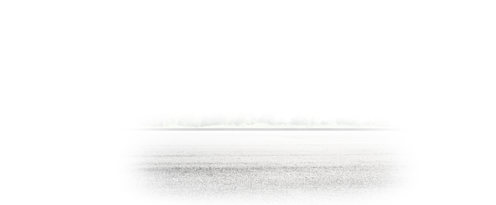 A hazy, light grey landscape with a textured foreground and a blurred horizon line.