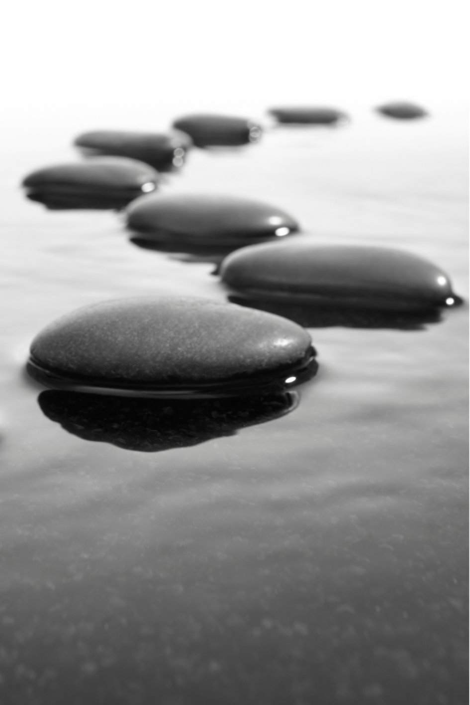 Unlock Your Business Potential with Business Consultant, Sarah Daly