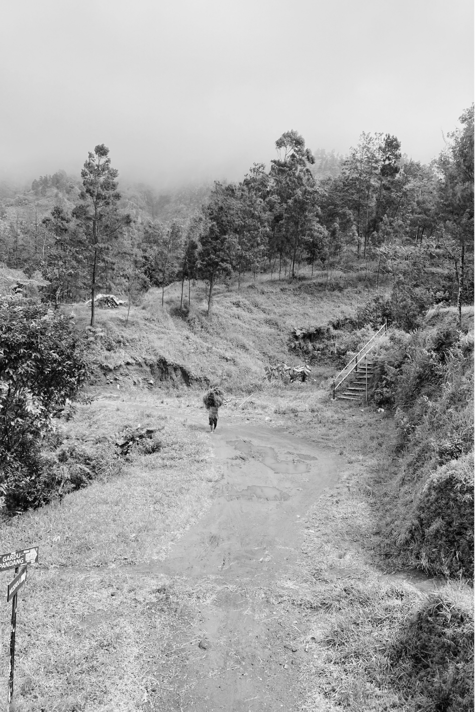 Unlock Your Business Potential with Business Consultant, Sarah Daly