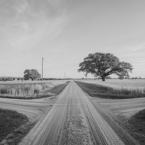 About Sarah Daly Growing Up