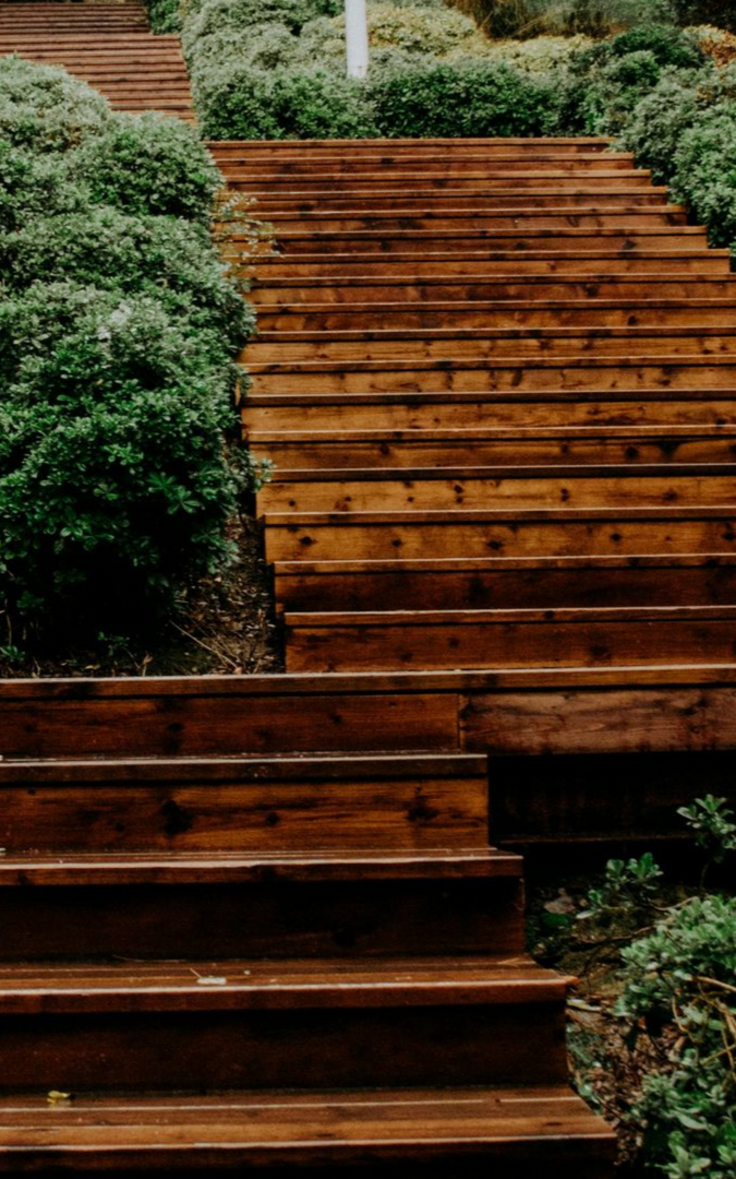 Unlock Your Business Potential with Business Consultant, Sarah Daly